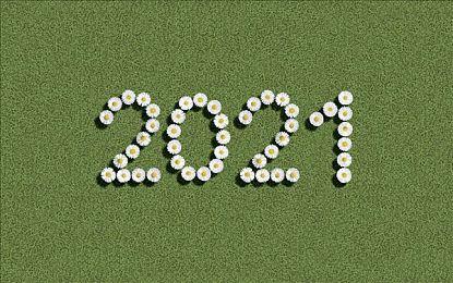 《森林之子》改进核心元素 更像是恐怖版《饥荒》