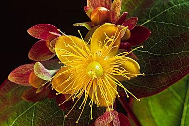 射击游戏《Active Matter》Steam页面公布 发售日待定